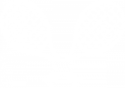 Tennis Racquets